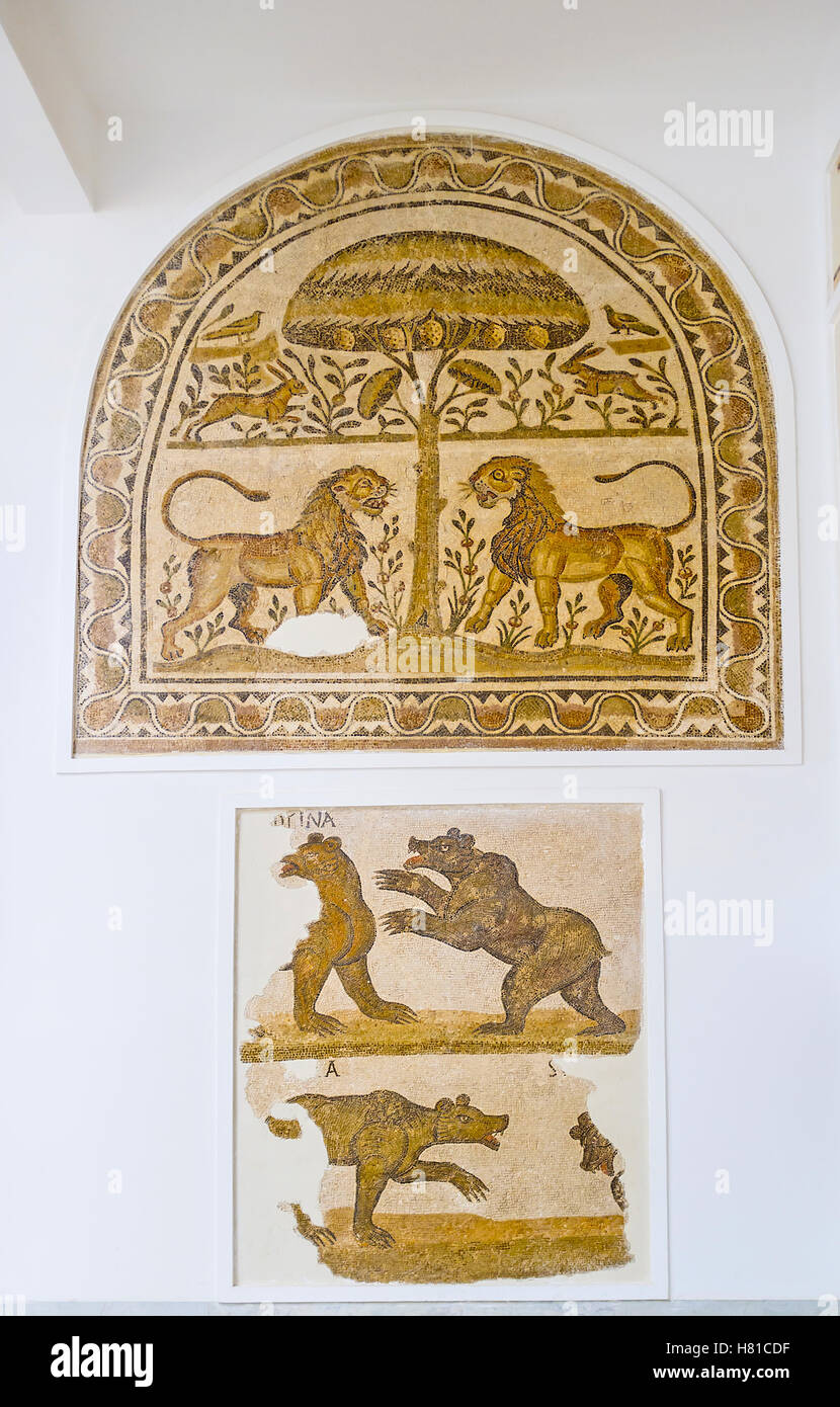 Les mosaïques dans national du Bardo avec les combats des lions et des ours, Tunis Banque D'Images