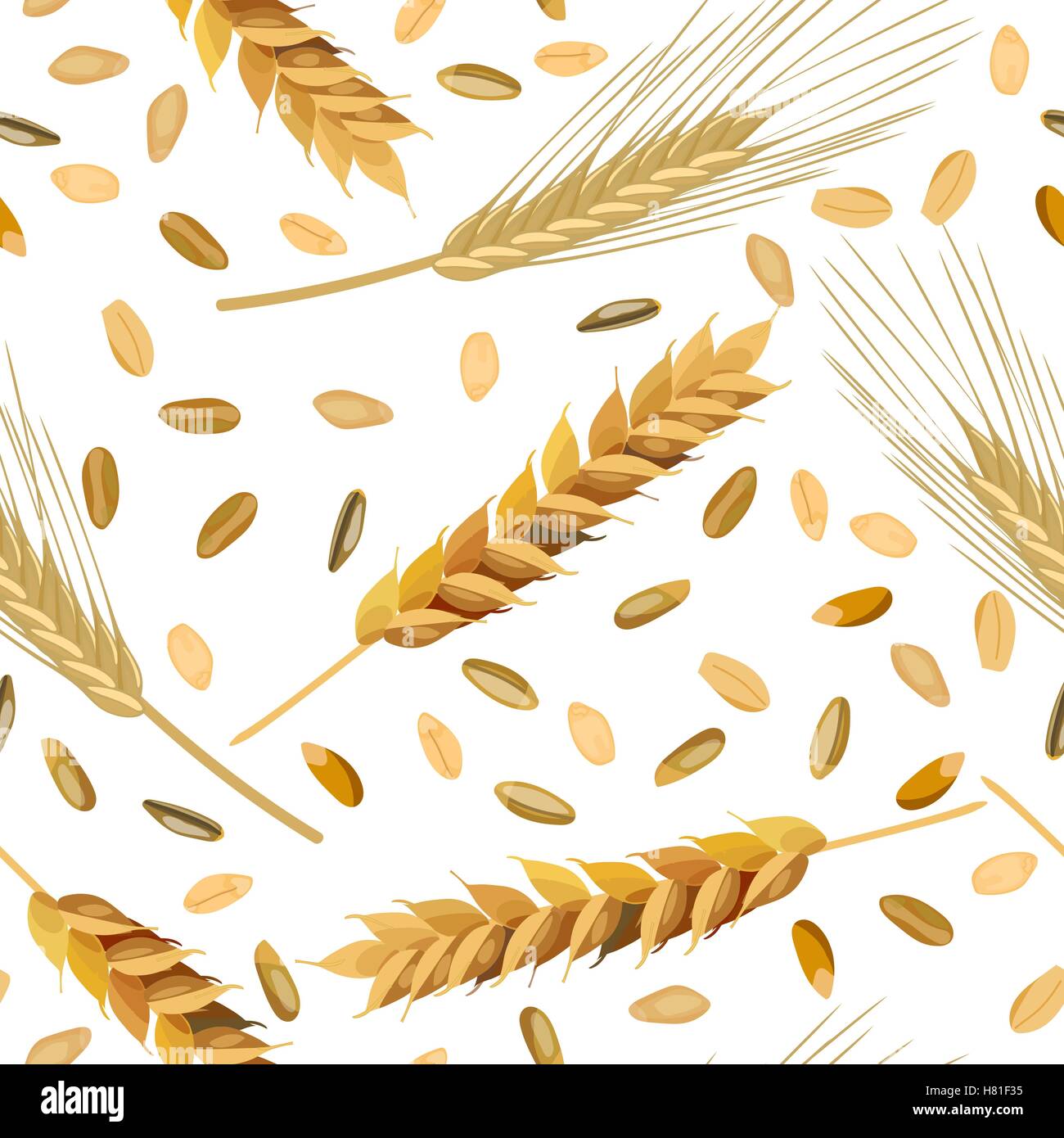 Modèle sans blé et seigle oreilles et les grains. Illustration vecteur EPS 10 Illustration de Vecteur