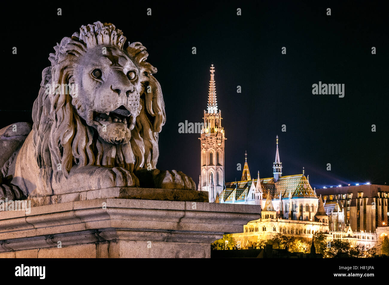 Statue de pierre d'un lion, placé à l'entrée du pont des Chaînes, Budapest, Hongrie Banque D'Images