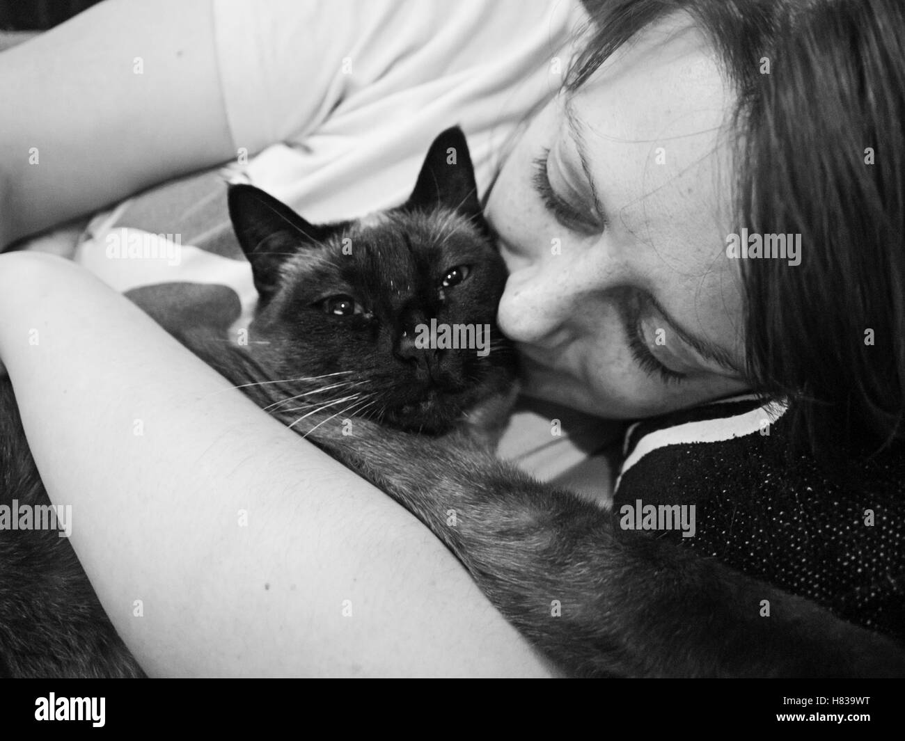 Woman hugging cat siames, amitié et animaux domestiques Banque D'Images
