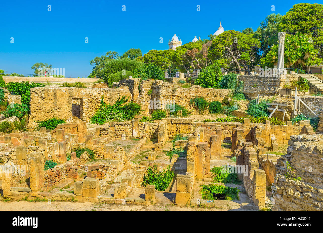 Les ruines antiques de la colline de Byrsa sont impirtant partie des ...