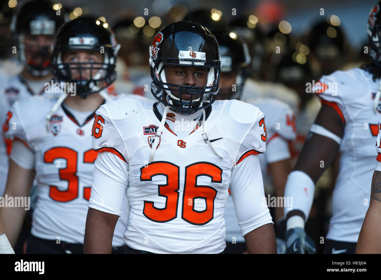 Le 27 novembre 2010, Stanford, CA, USA ; Oregon State Beavers Dylan running back Parsons (36) mène son équipe hors du tunnel vers le champ avant le match contre le Stanford Cardinal à Stanford Stadium. Banque D'Images