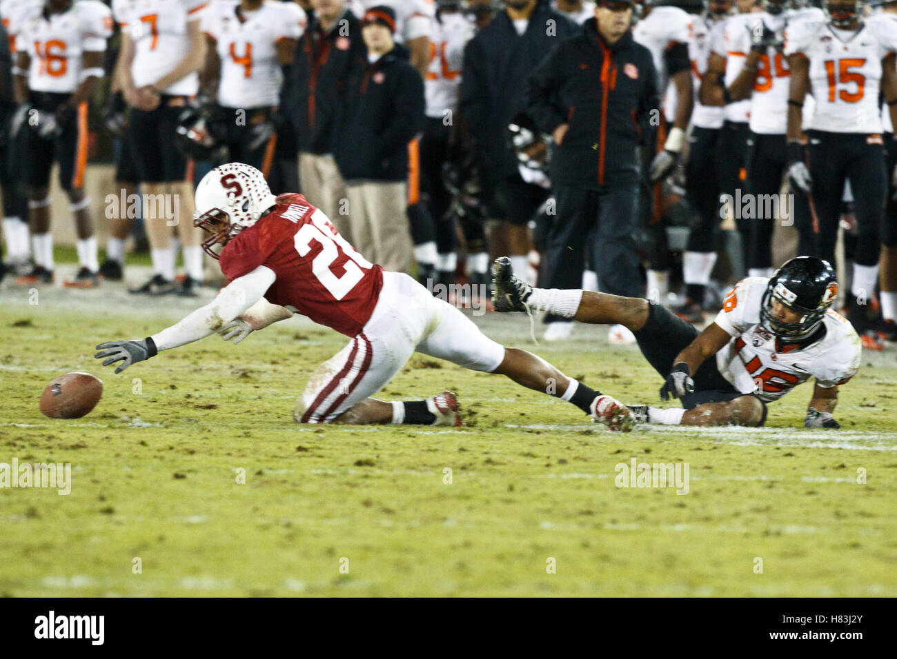 Le 27 novembre 2010, Stanford, CA, USA ; sécurité Stanford Cardinal Delano Howell (26) récupère un fumble de Oregon State Beavers wide receiver Aaron Nichols (46) au cours du quatrième trimestre à Stanford Stadium. Stanford a défait 38-0 de l'état de l'Oregon. Banque D'Images
