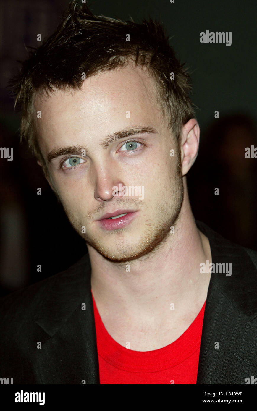AARON PAUL NATIONAL LAMPOON'S VAN WILDER CINERAMA DOME HOLLYWOOD LOS ANGELES USA 01 avril 2002 Banque D'Images