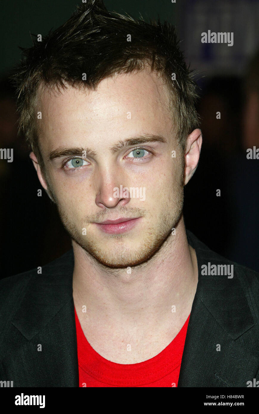 AARON PAUL NATIONAL LAMPOON'S VAN WILDER CINERAMA DOME HOLLYWOOD LOS ANGELES USA 01 avril 2002 Banque D'Images