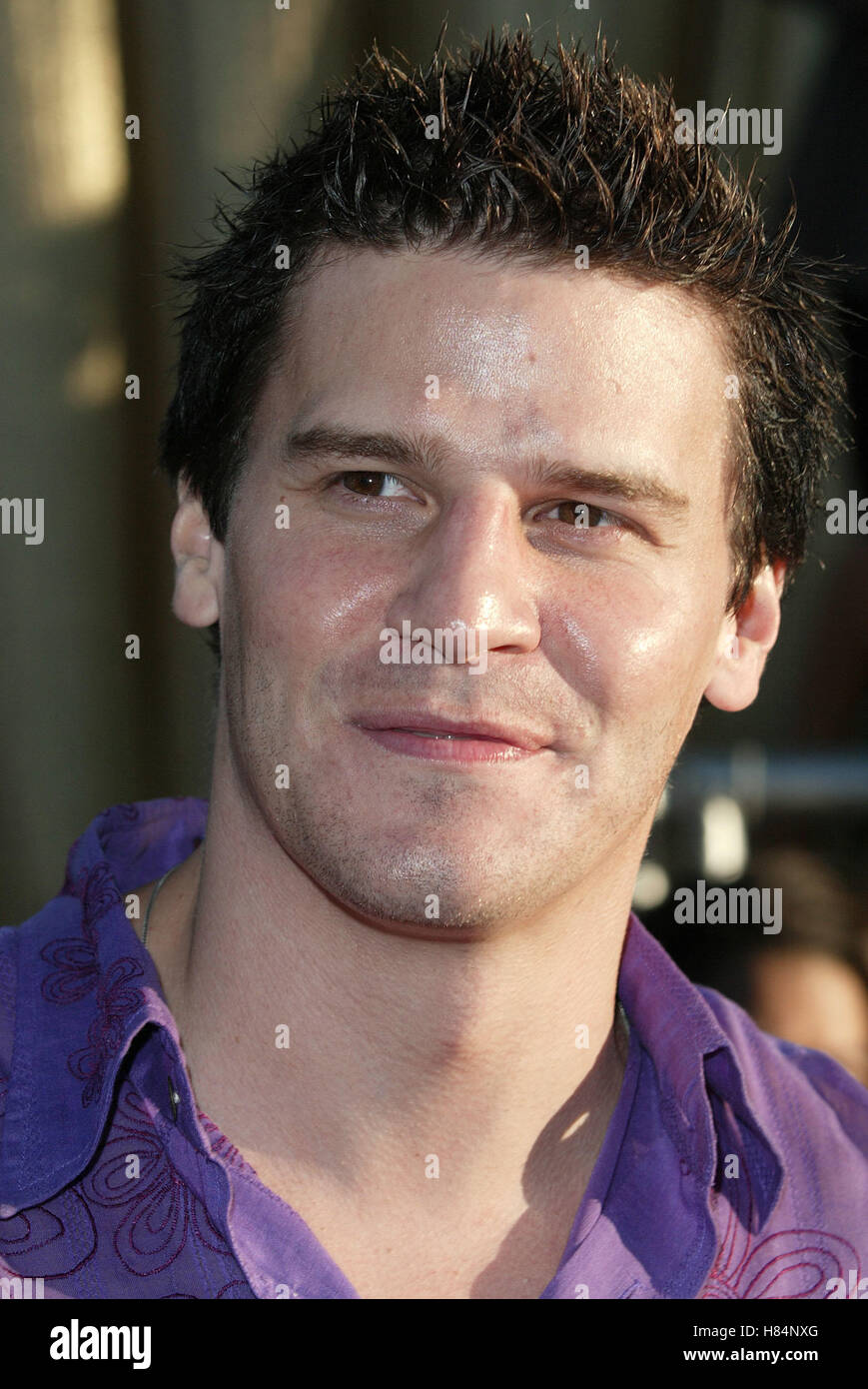 DAVID BOREANAZ Austin Powers in Goldmember PREMIERE UNIVERSAL AMPHITHEATRE UNIVERSAL CITY LA USA 22 Juillet 2002 Banque D'Images