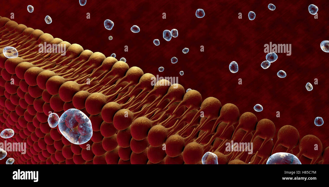 Membrane plasmique de la cellule avec d'autres molécules, 3D render Banque D'Images