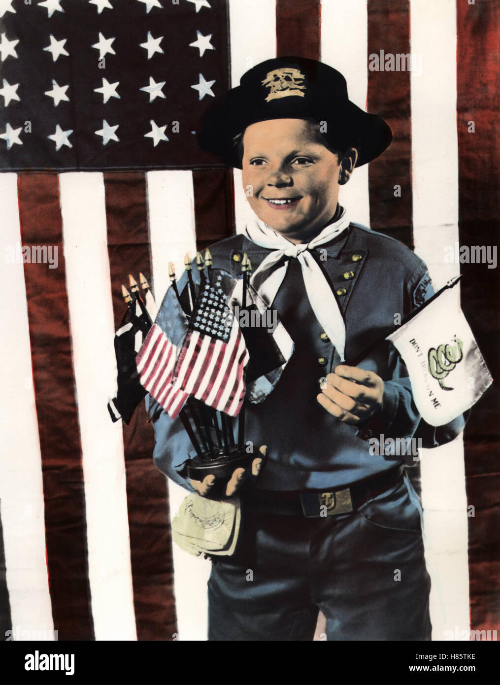 Rin Tin Tin im Wilden Westen, (RIN TIN TIN - HÉROS DE L'OUEST) USA 1955 s/w, Regie : Robert G. Walker, LEE AAKER, Ausdruck : USA-Flagge, Stars & Stripes Banque D'Images