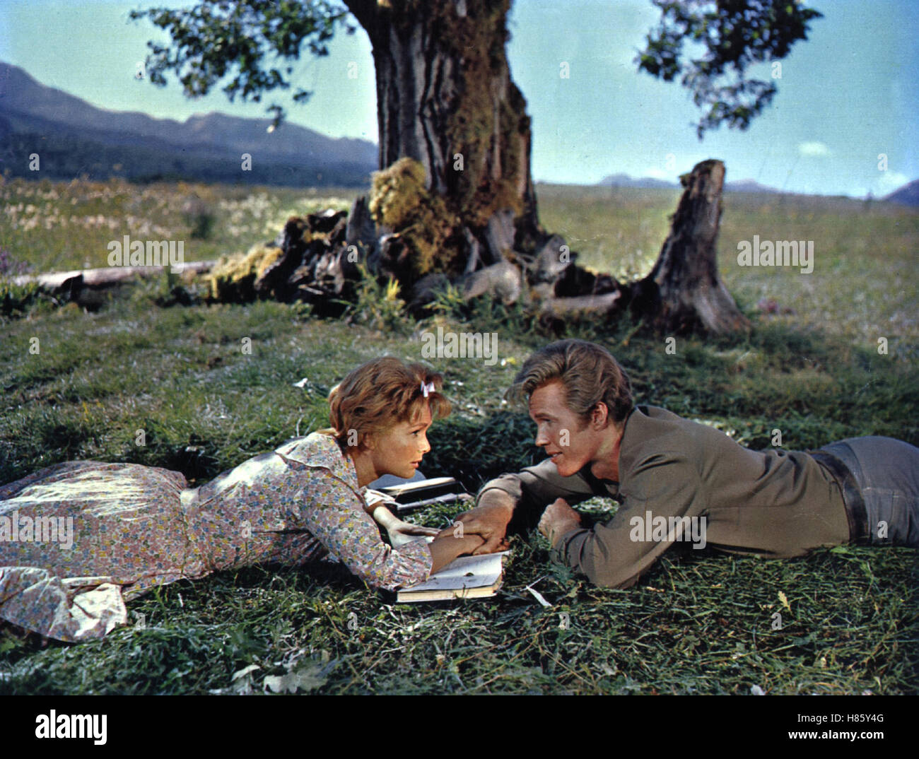 Goldgräber-Molly, INSUBMERSIBLE MOLLY BROWN (USA) 1963, Regie : Charles Walters, Debbie Reynolds, HARVE PRESNELL, Ausdruck : Paar, Wiese Banque D'Images