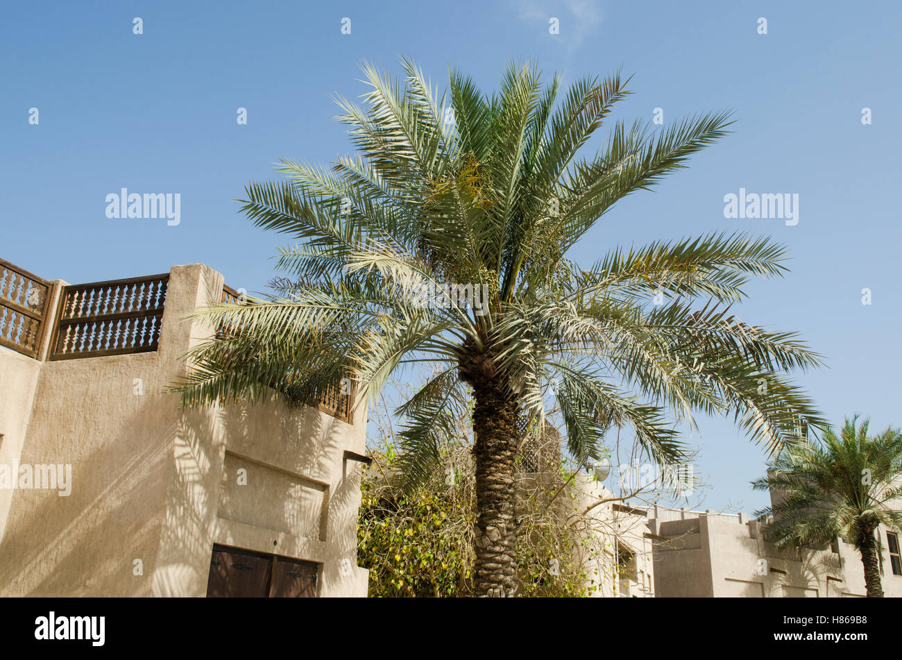 L'architecture arabe traditionnelle Dubaï Émirats Arabes Unis Banque D'Images