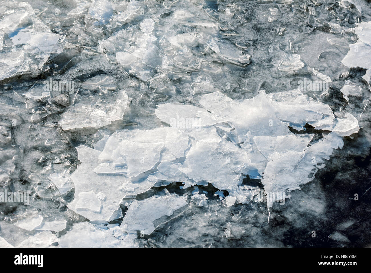 La beauté de la glace dans l'eau sombre en hiver journée claire Banque D'Images