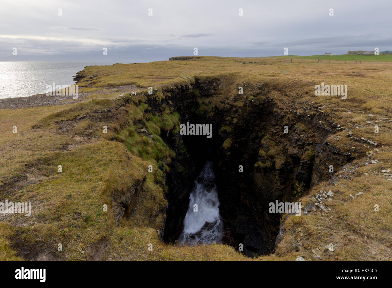 Évent sur îles Orkney Banque D'Images