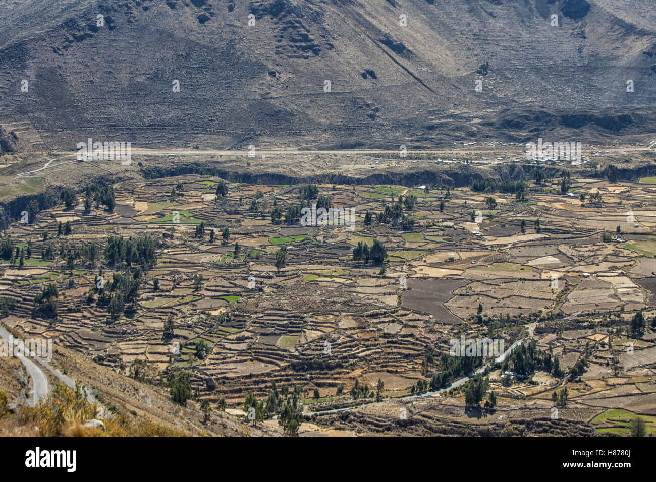 Canyon de Colca, un des canyons les plus profonds au monde, au Pérou Banque D'Images