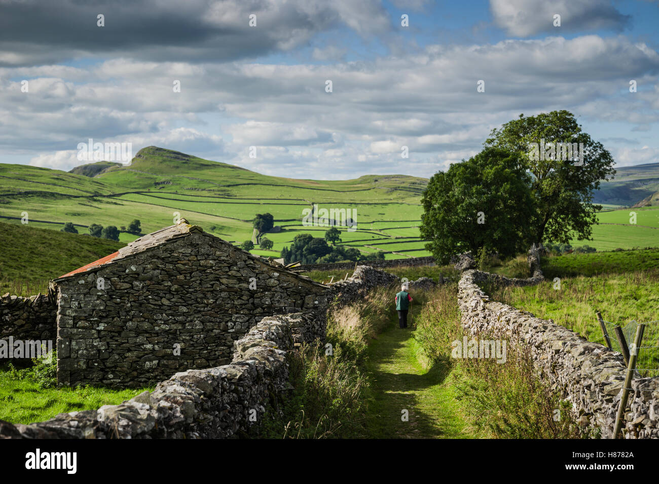 Le paysage autour de Stainforth, Yorkshire, UK. Banque D'Images