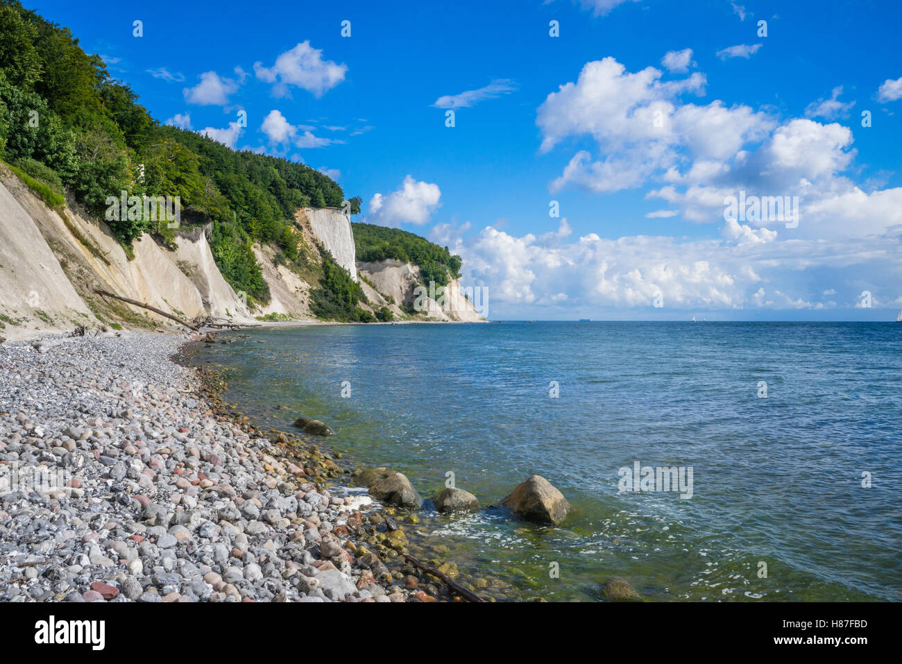 La falaise de craie Parc National de Jasmund, près de Königsstuhl (Président) du Roi sur l'île de Rügen, Mecklenburg-Vorpommern, Allemagne Banque D'Images