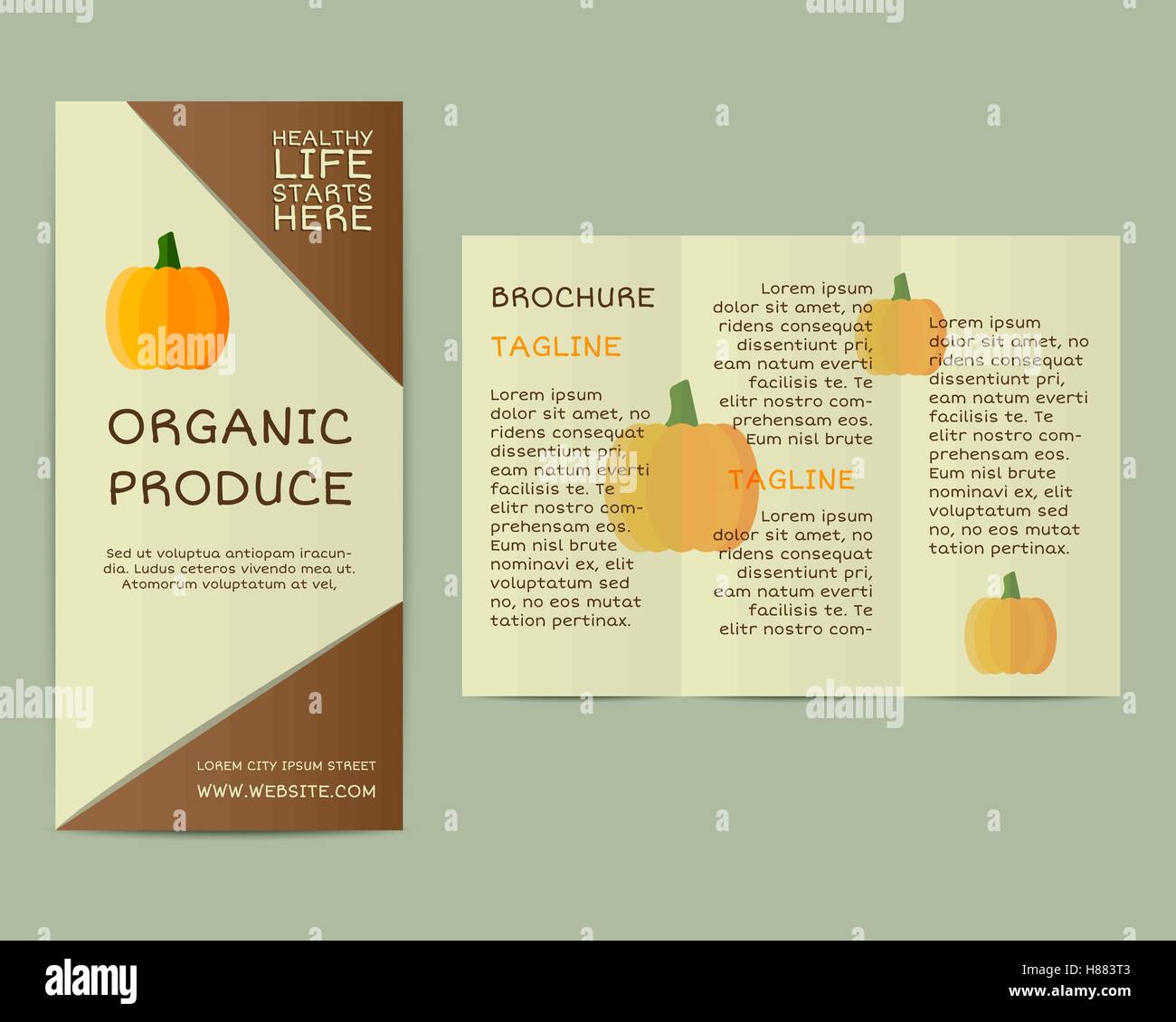 Natural business corporate identity design avec des citrouilles. L'image de marque de votre société organique. Brochure. La conception des maquettes. Meilleur pour le shop, foires, marchés bio eco et les entreprises locales. Vecteur. Illustration de Vecteur