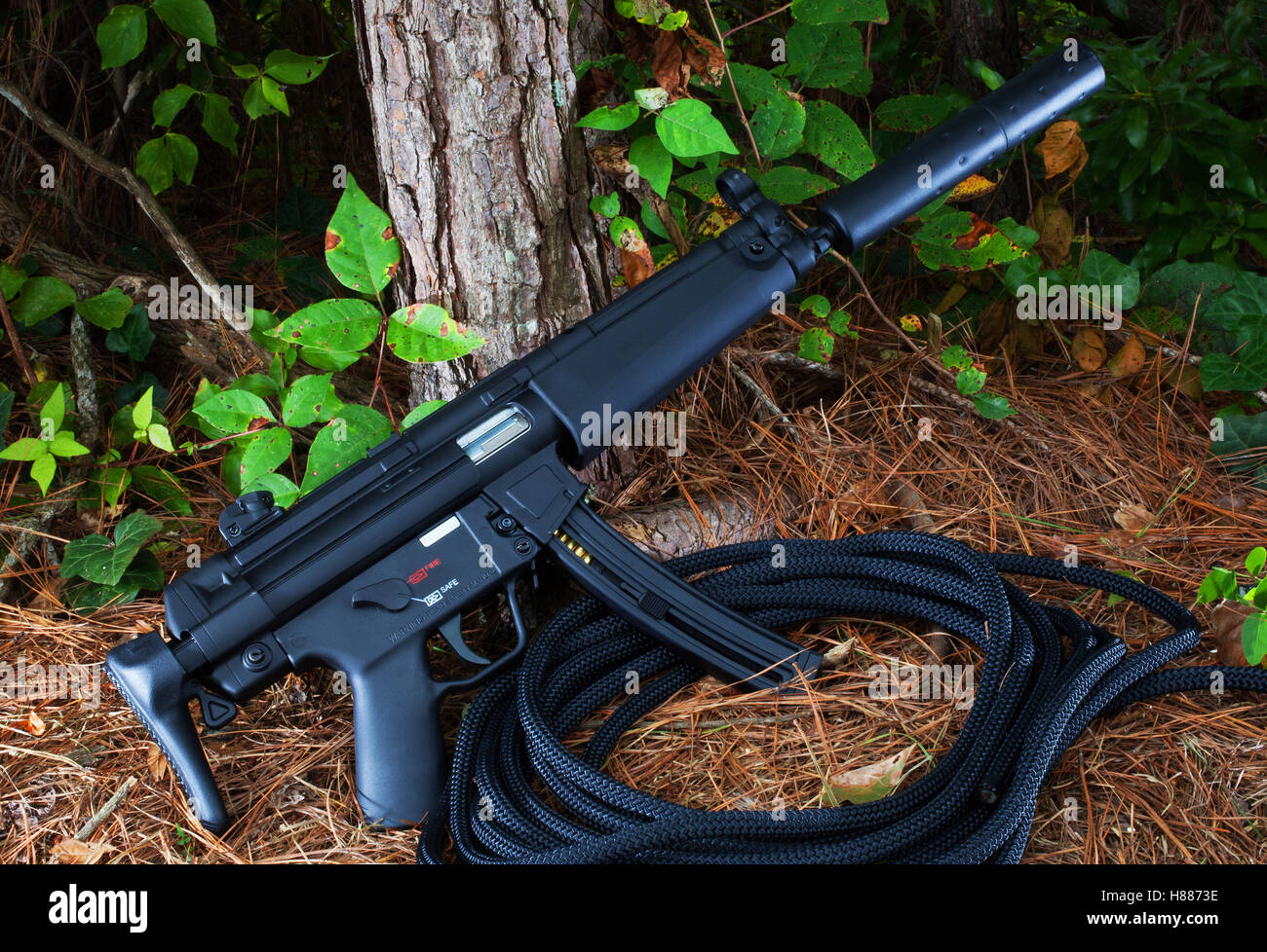 Fusil d'assaut qui est supprimée à la lisière de la forêt Banque D'Images