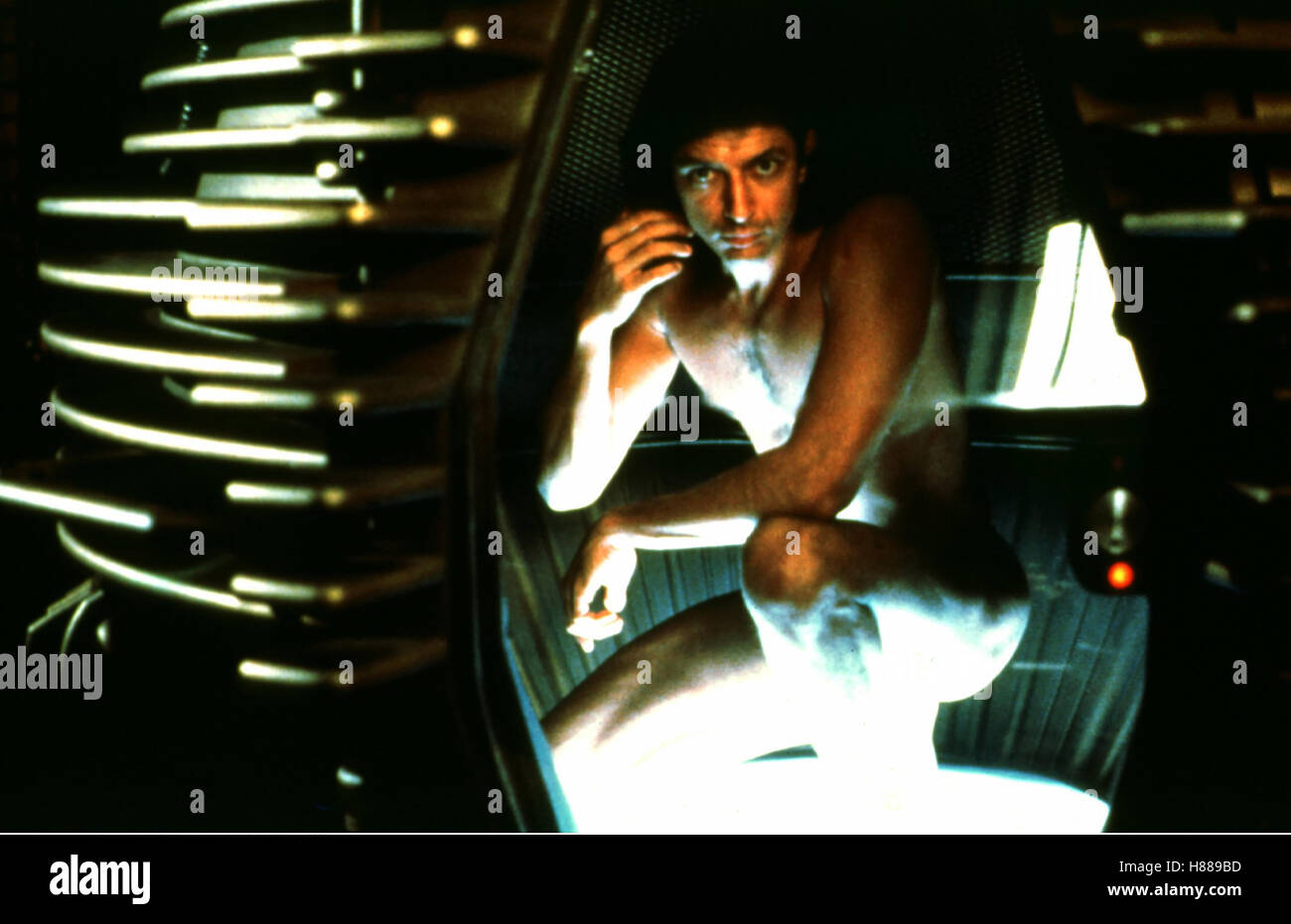 Die Fliege, (la mouche) USA 1986, Regie : David Cronenberg, Jeff Goldblum Banque D'Images