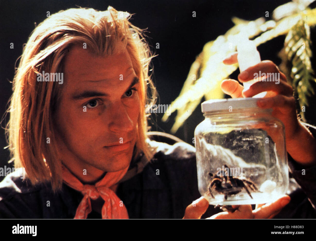 L'arachnophobie (ARACHNOPHOBIA), USA, 1990 Regie : Frank Marshall, JULIAN SANDS, Ausdruck : Spinne Banque D'Images