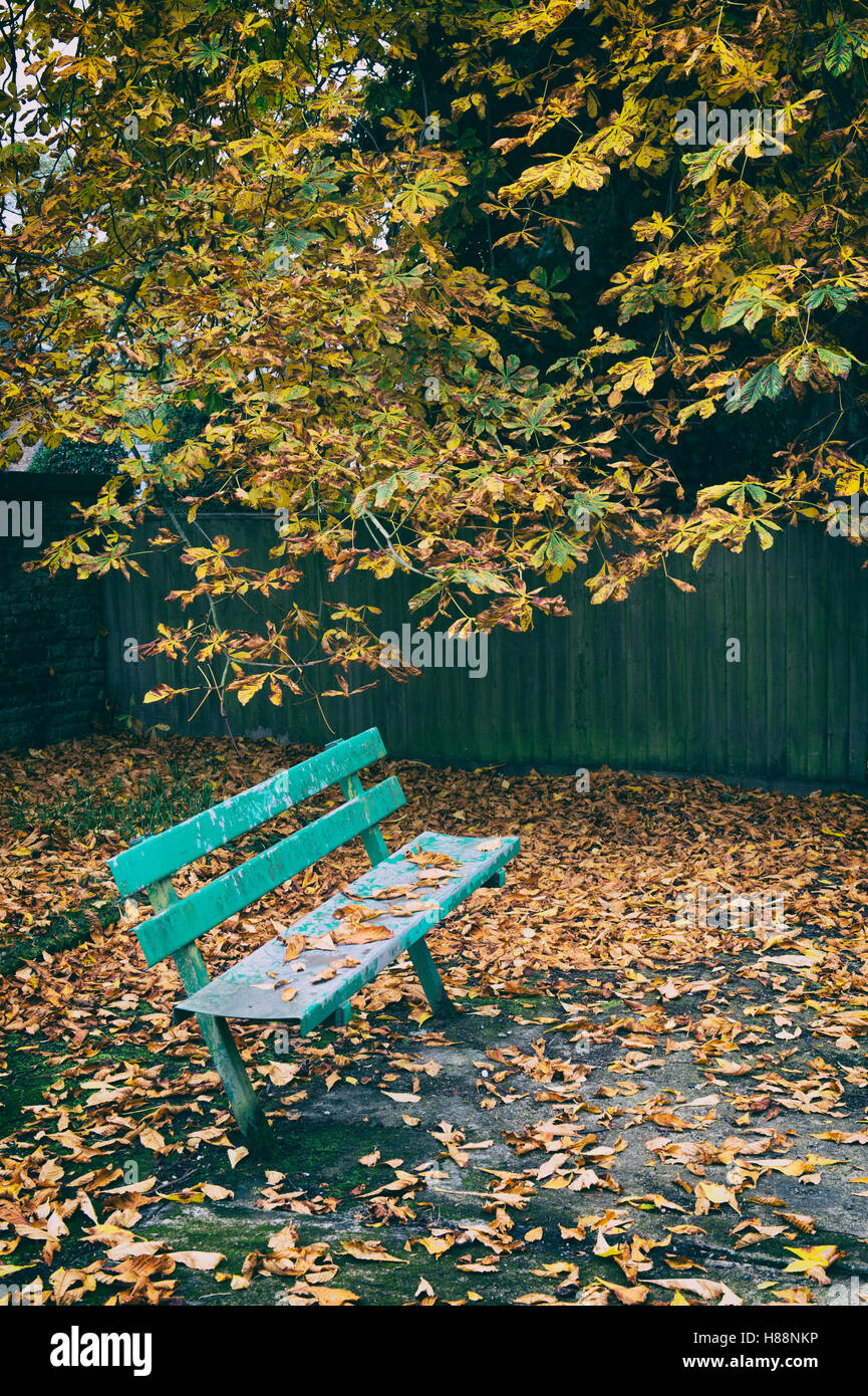 Banc en bois vide et diminué l'automne les feuilles des arbres.  L'Oxfordshire, UK. Appliquer filtre vintage Photo Stock - Alamy