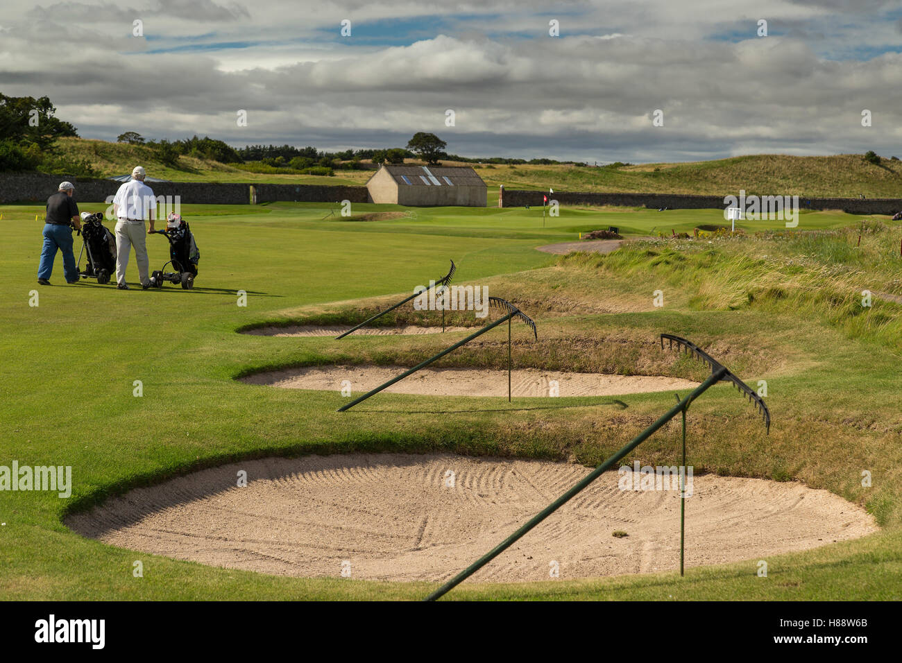 Les bunkers de golf les fosses de sable avec râteaux dans une ligne sur se situe à côté de l'allée Banque D'Images