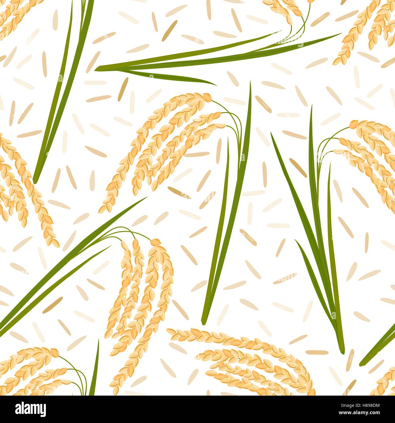 Modèle transparent avec des feuilles de riz, graines et épillets sur un fond blanc. Vector illustration. Eps 10. Illustration de Vecteur