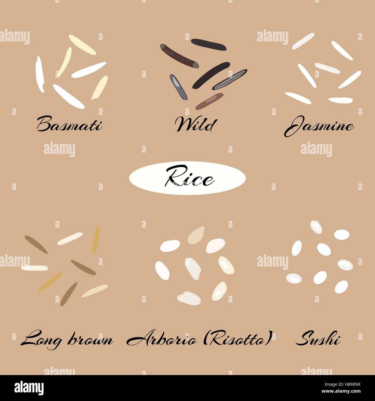 Différents types de riz Basmati, jasmin, sauvages, long, brun, arborio sushi. Macro. Illustration vecteur EPS 10. Illustration de Vecteur