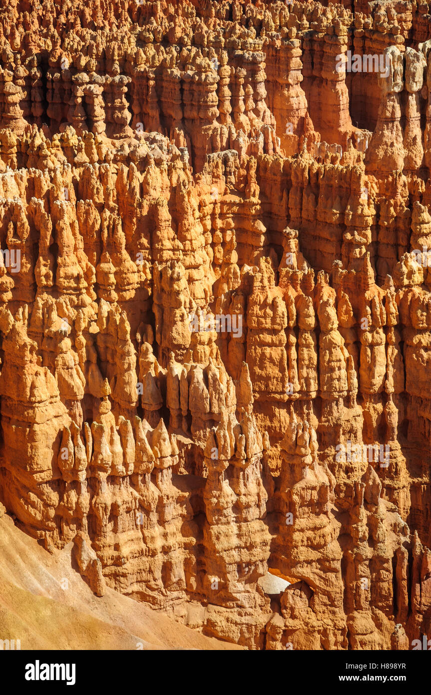 Le Parc National de Bryce Canyon Banque D'Images