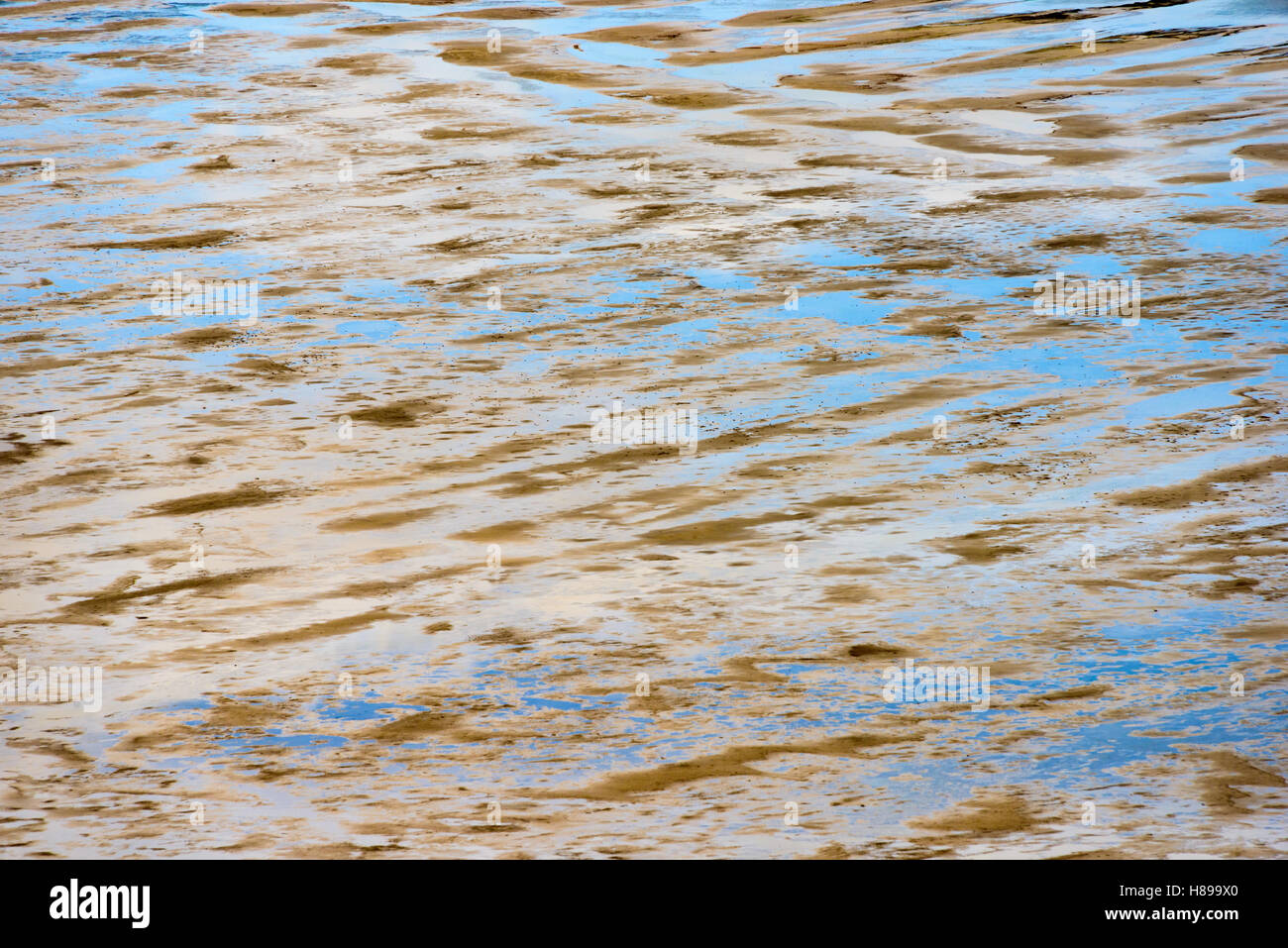 Antelope Island State Park Banque D'Images