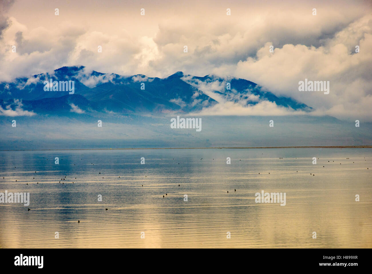 Antelope Island State Park Banque D'Images