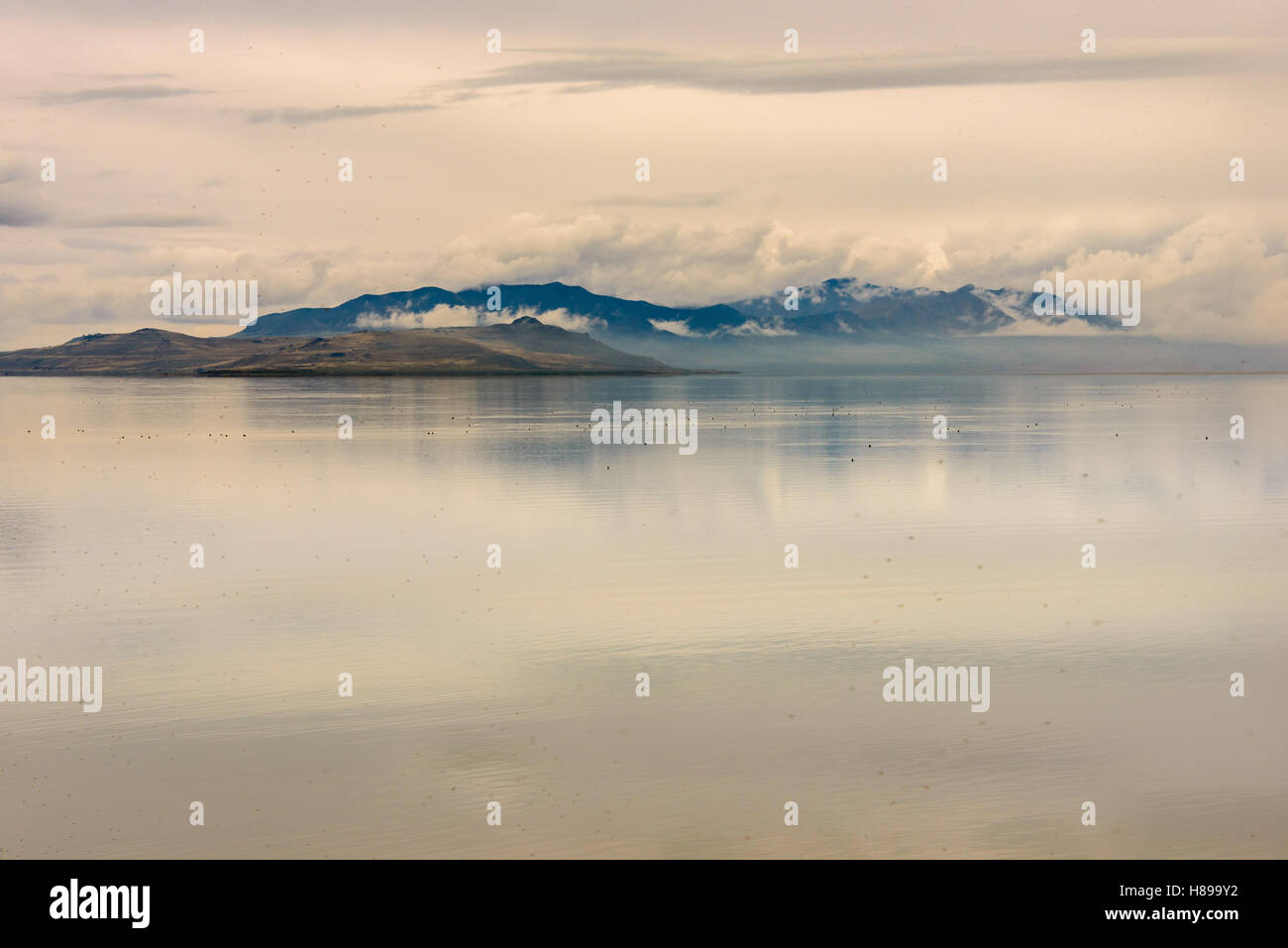 Antelope Island State Park Banque D'Images