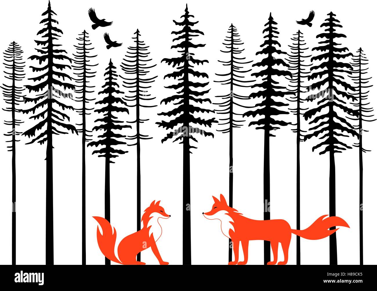 Couple Fox en forêt de sapins, vector illustration over white background Illustration de Vecteur