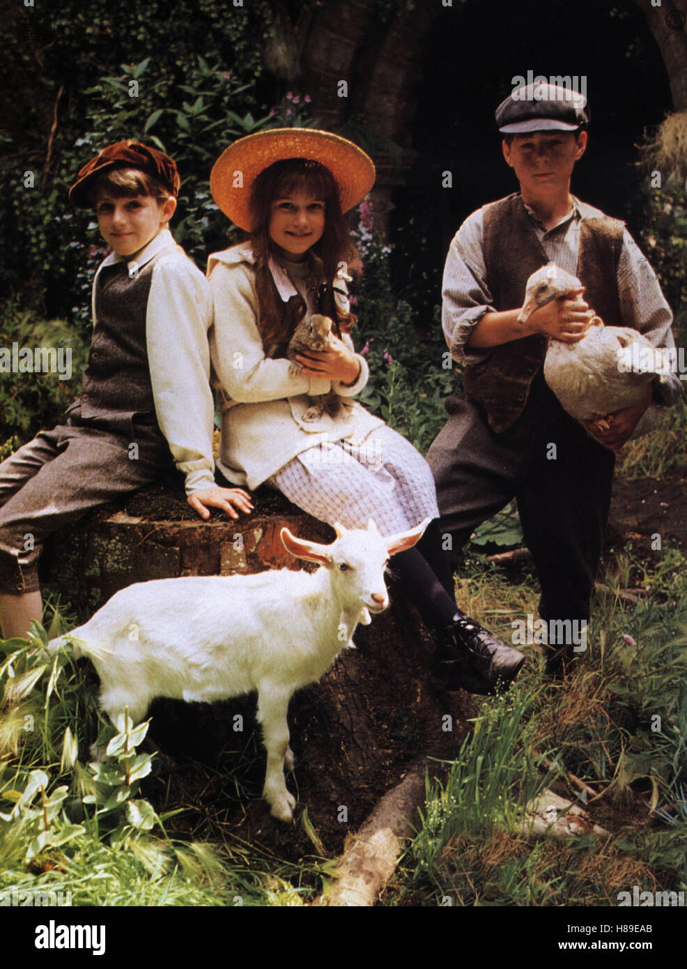 Der geheime Garten (Jardin Secret), USA 1993, Regie : Agnieszka Holland, HEYDON PROWSE, Kate Maberly, ANDREW KNOTT, Ausdruck : Lamm, Gans Banque D'Images