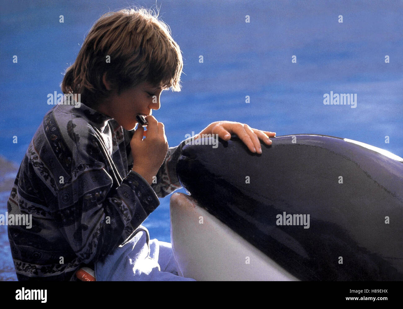 Sauvez Willy - Ruf der Freiheit, (Free Willy) USA 1993, Regie : Simon Wincer, JASON JAMES RICHTER, Ausdruck : Wal Banque D'Images