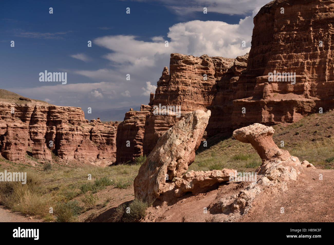 Grenouille et mushroom rock à la vallée des châteaux Canyon National Park Auezov Kazakhstan Banque D'Images