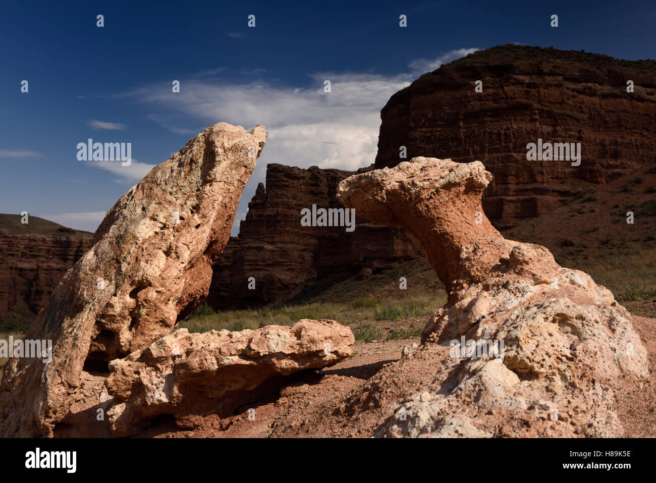 Serpent et de rochers de grès rouge champignons sculpture en vallée de châteaux Canyon Park Auezov Kazakhstan Banque D'Images