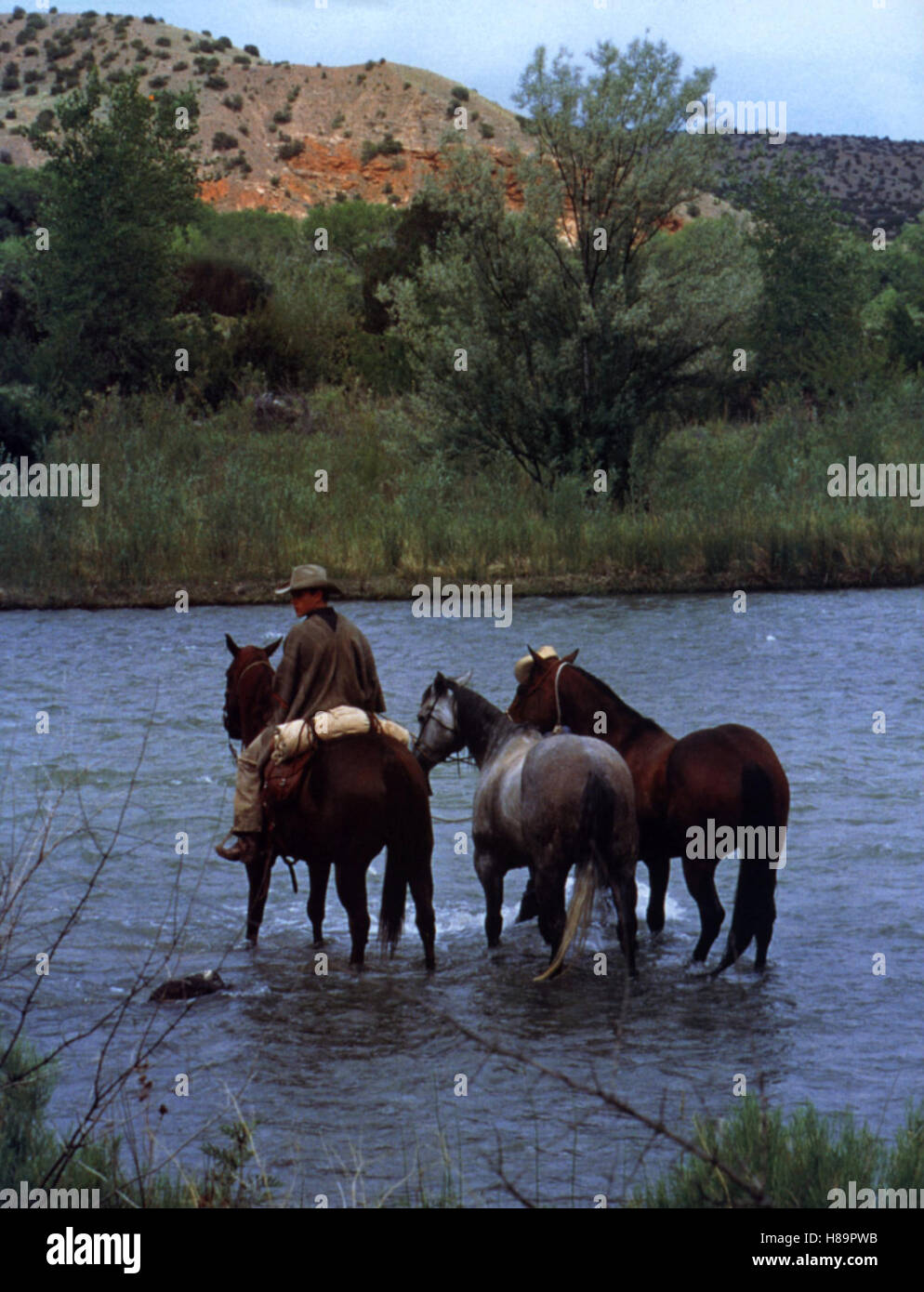 Tous les Die schönen Pferde, (tous les jolis chevaux) USA 2000, Regie : Billy Bob Thornton, Matt Damon, Ausdruck : Cowboy, Wasser, Fluß Banque D'Images