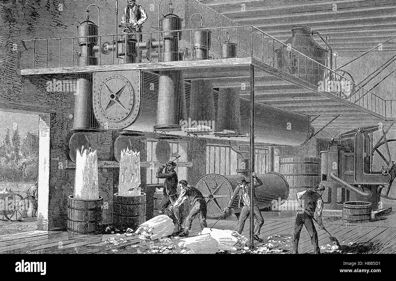 Travaillant dans une fabrique de glace, gravure sur bois de 1892 Banque D'Images