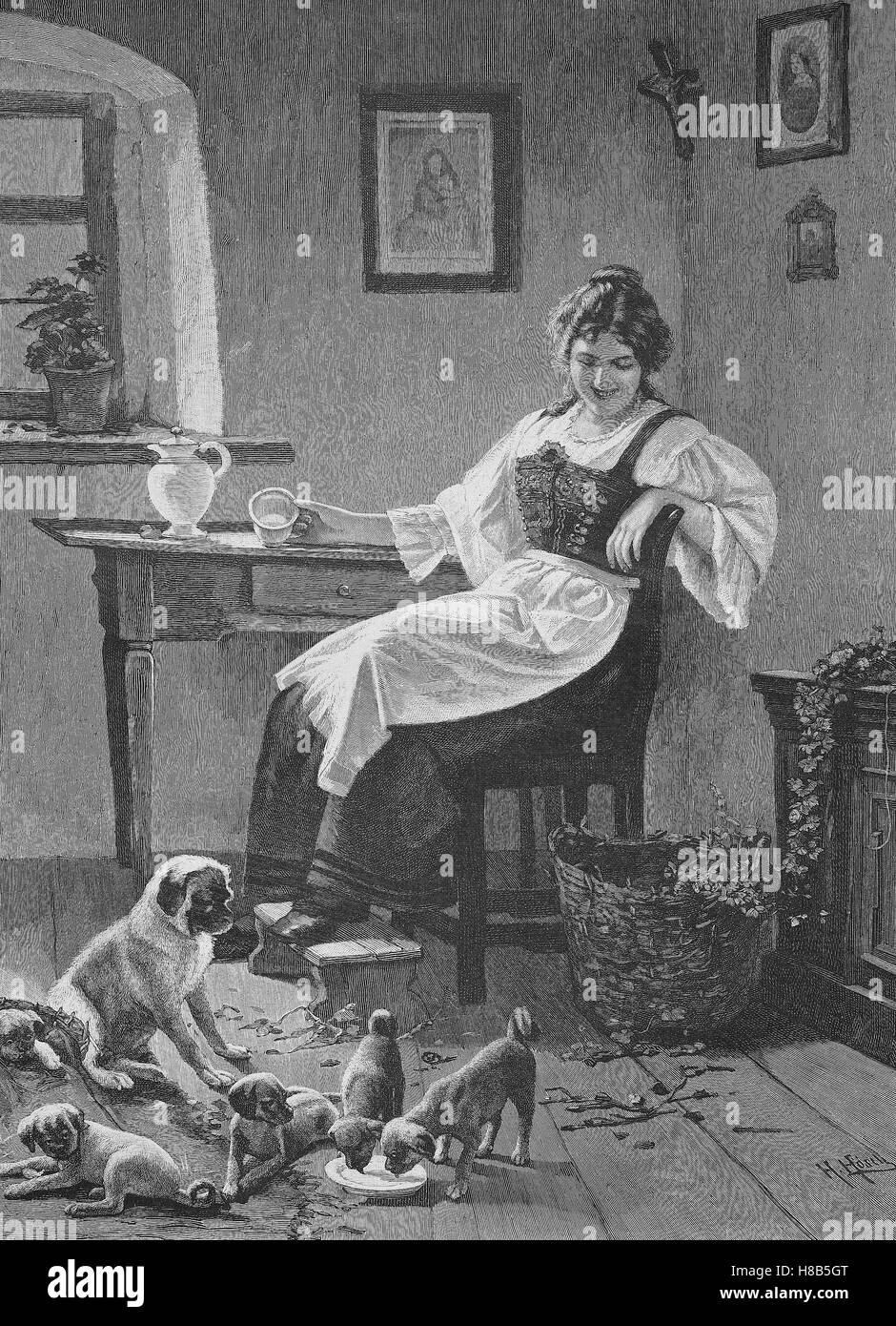 Le chien domestique a beaucoup de chiots, femme au foyer pour le chien a donné du lait, gravure sur bois de 1892 Banque D'Images