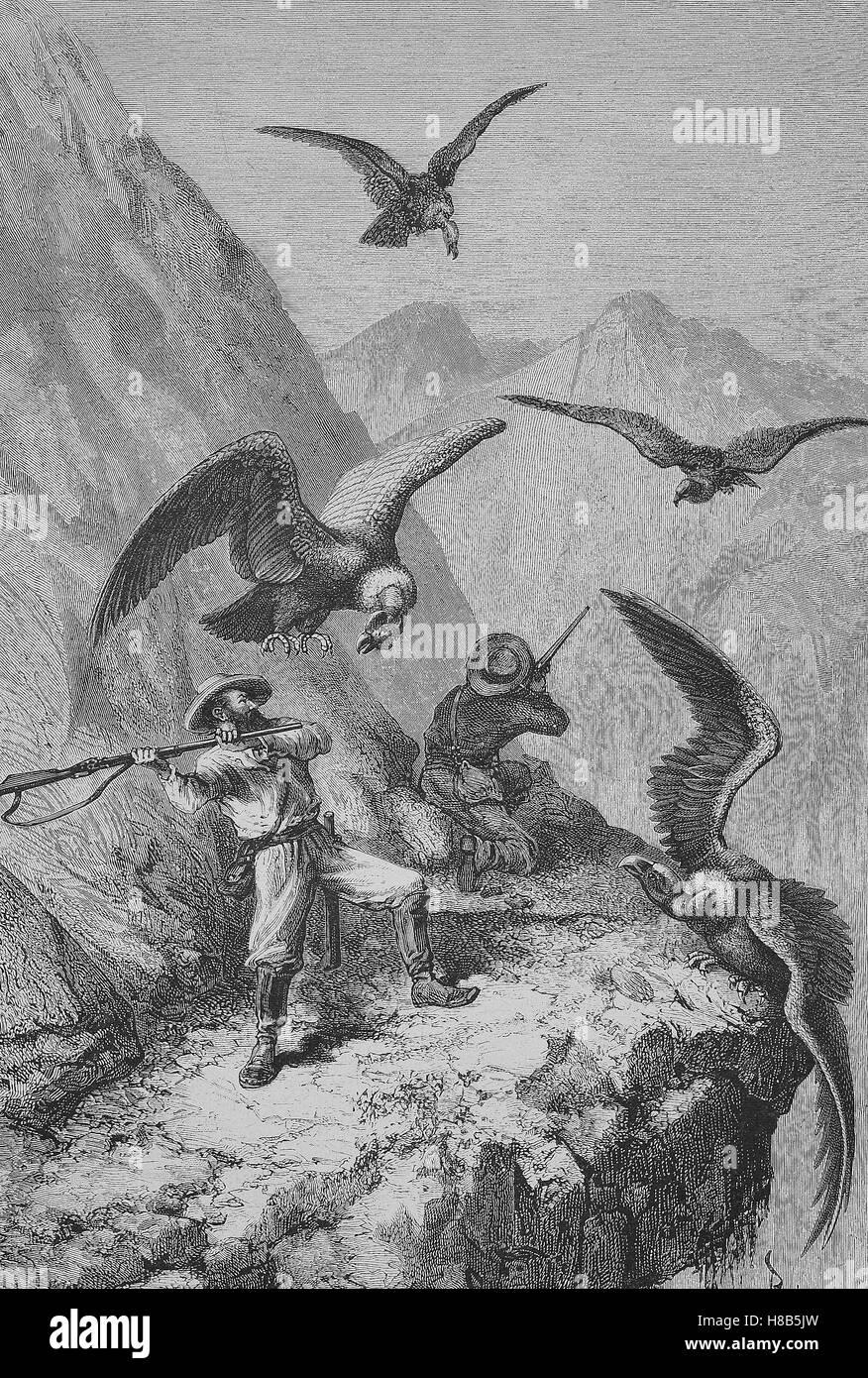 Le combat avec les chasseurs des condors, gravure sur bois de 1892 Banque D'Images