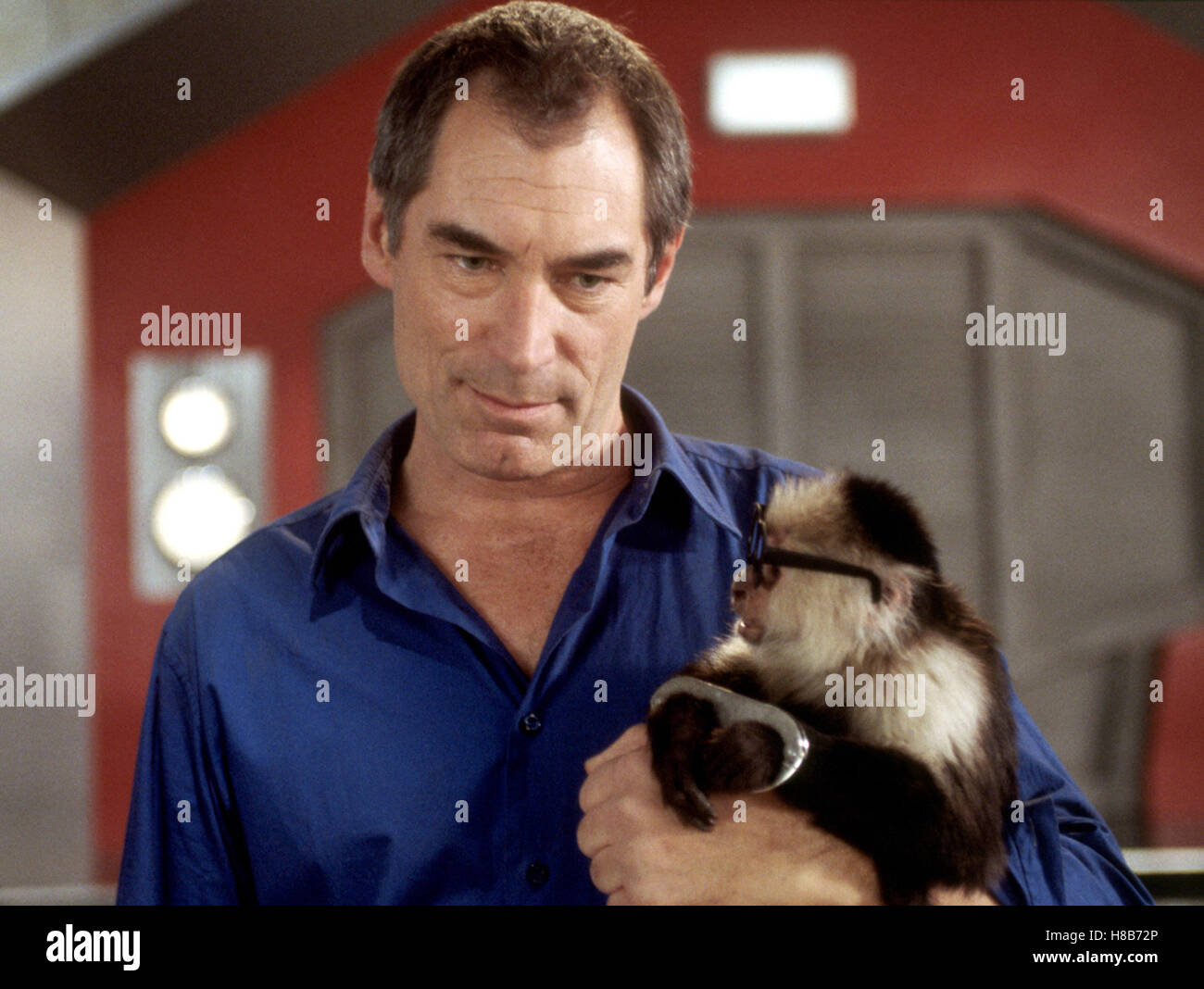 Looney Tunes - De retour en action, (Looney Tunes : Back in Action) USA 2003, Regie : Joe Dante, Timothy Dalton, clé : Affe Banque D'Images