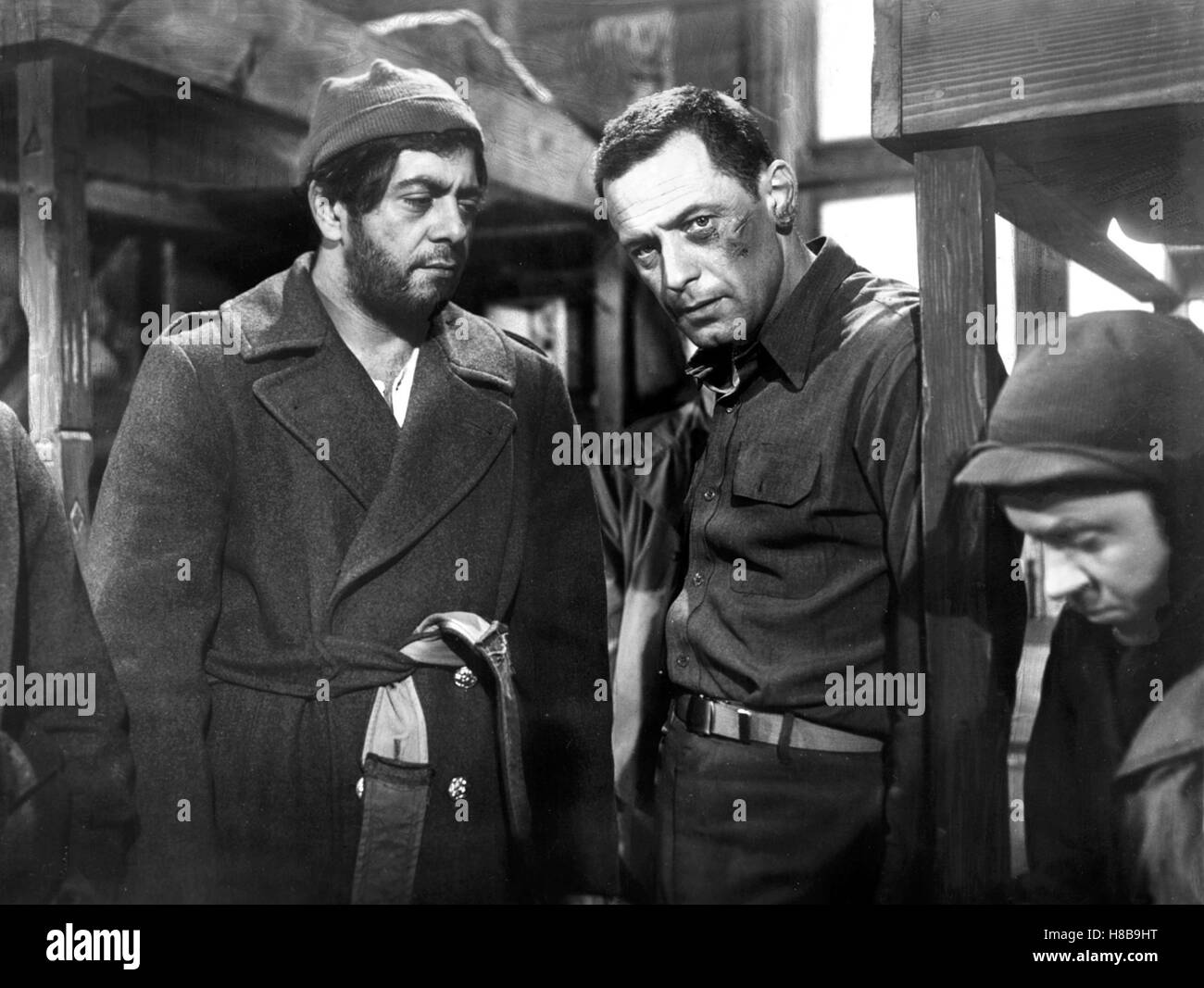 Stalag 17 (STALAG 17), USA 1953 s/w, Regie : Billy Wilder, WILLIAM HOLDEN (mi), clé : Gefangenenlager Kriegsgefangene Kopfverletzung,,, Banque D'Images