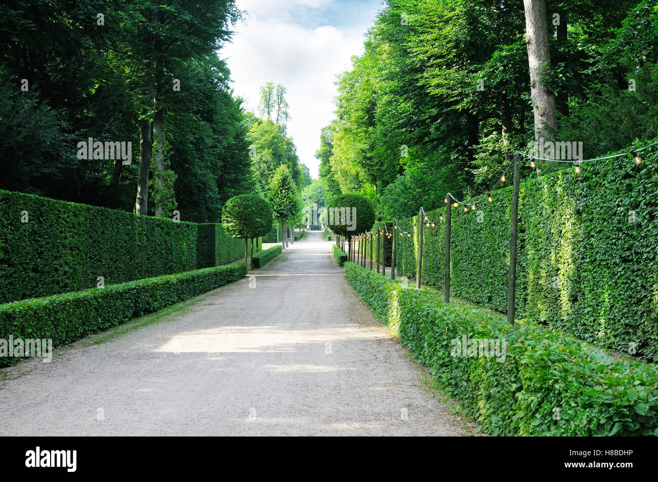 Allée magnifique dans le parc et le ciel Banque D'Images