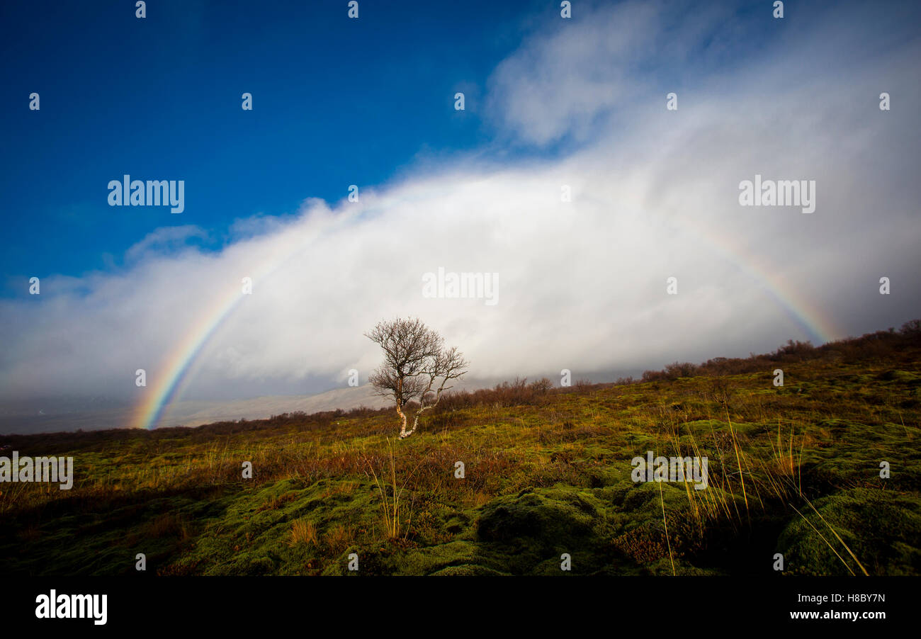 Sur le site du premier parlement à Þingvellir Parc National en Islande Banque D'Images