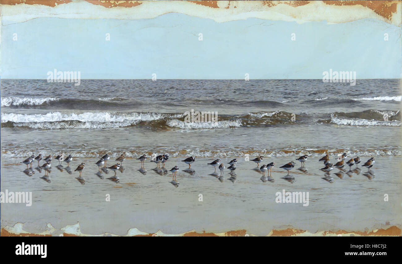Flock of birds on beach Banque D'Images