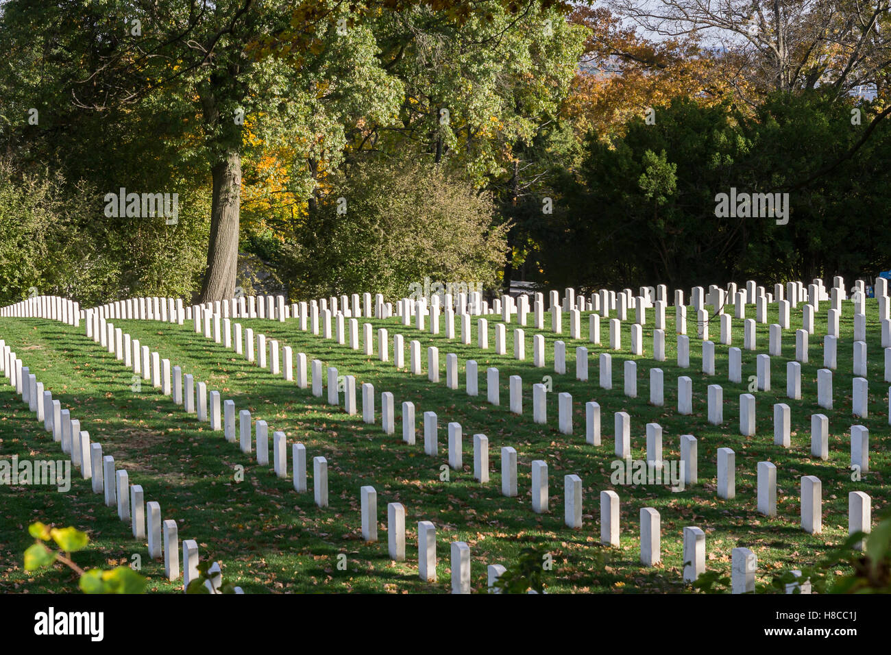 Les pierres tombales à Cypress Hills National Cemetery de Brooklyn à New York le samedi 5 novembre 2016. Le cimetière est le seul cimetière national des États-Unis à New York avec plus de 21 100 internements. Ouvert en 1862, il est en ce moment fermé aux nouveaux internements ayant rempli l'espace en 1954. Les conjoints des internés sont toujours en cours alors qu'ils sont dans la même tombe. (© Richard B. Levine) Banque D'Images