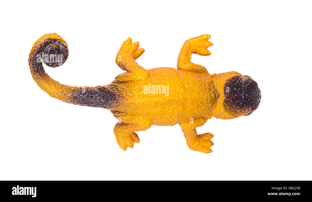 Caméléon jouet top view isolé sur fond blanc Banque D'Images