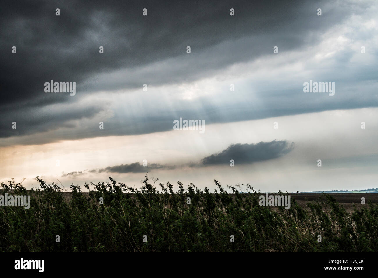 Champs sous un ciel orageux sur Fyfield Down, Wiltshire Banque D'Images