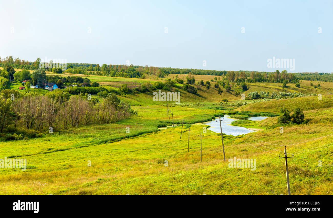 Dans Gorodkovo - Meadow Bolshoe Kursk region, Fédération de Russie Banque D'Images