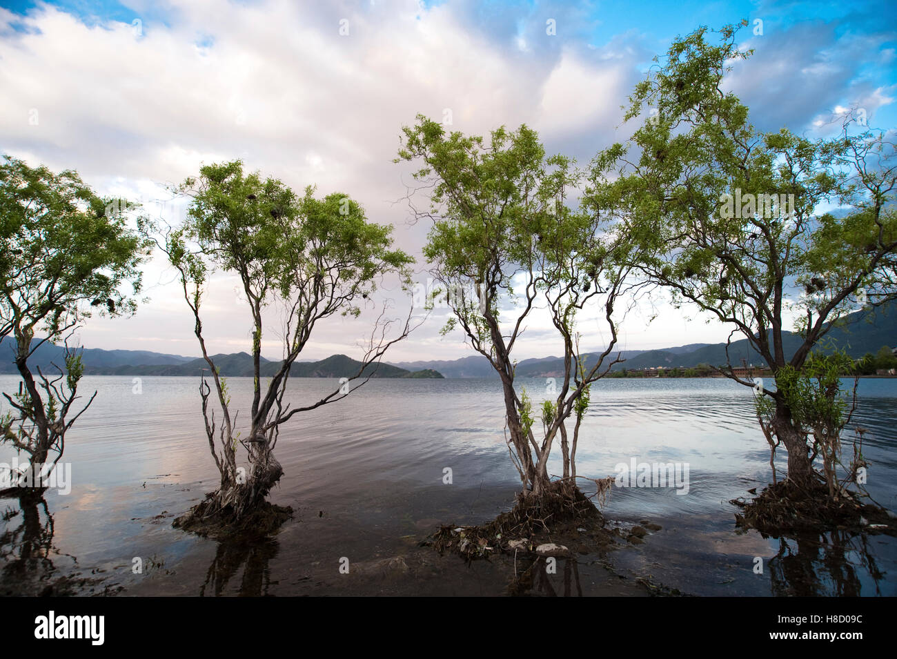 Lugu Lake, la Chine, l'Asie Banque D'Images